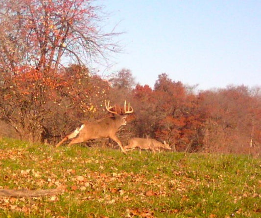 Top Apps For Deer Hunting