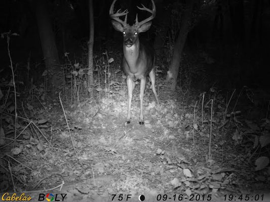 Early Season Trail Camera Locations